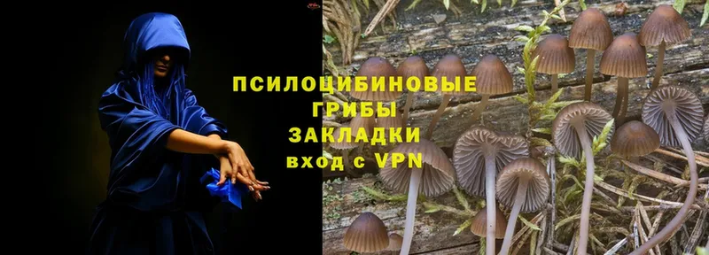 это состав  Еманжелинск  кракен рабочий сайт  Псилоцибиновые грибы Psilocybine cubensis  что такое  